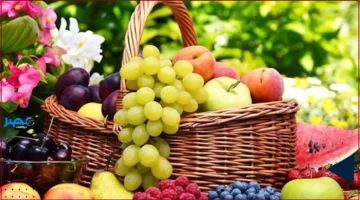 أسعار الفاكهة.. سعر البرتقال يثبت عند 17 جنيهاً في سوق العبور الأربعاء